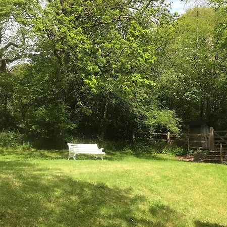 Peaceful Cottage, Close To Coast & Moor Parracombe ภายนอก รูปภาพ